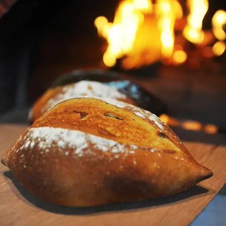 巴克兰迪斯堪迪克酒店