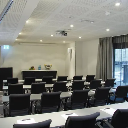 酒店 巴克兰迪斯堪迪克酒店