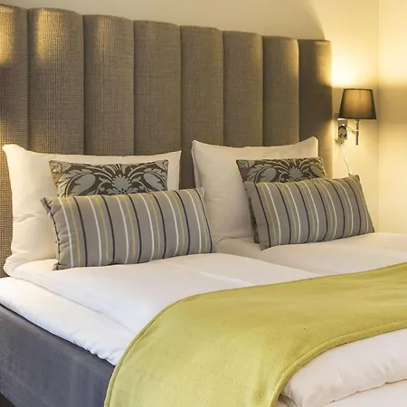 巴克兰迪斯堪迪克酒店