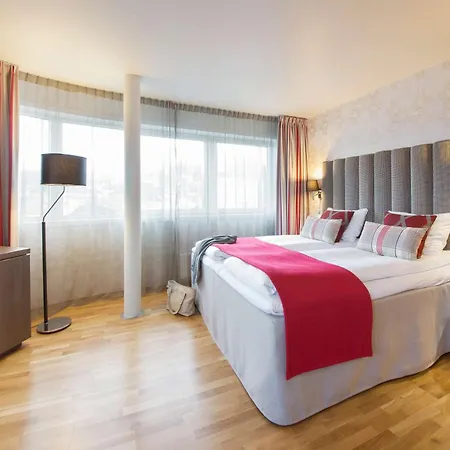 巴克兰迪斯堪迪克酒店