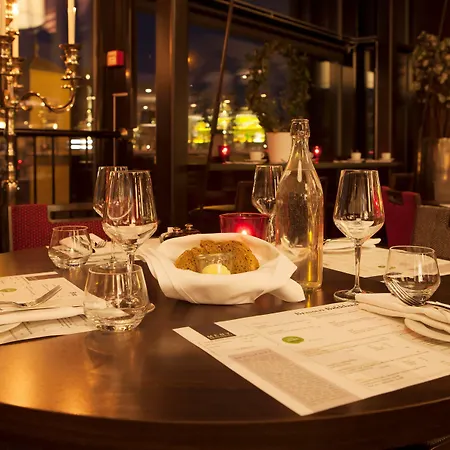 巴克兰迪斯堪迪克酒店