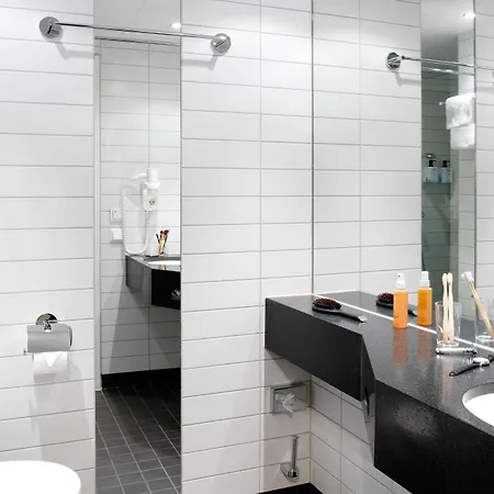 酒店 巴克兰迪斯堪迪克酒店