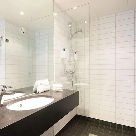 巴克兰迪斯堪迪克酒店