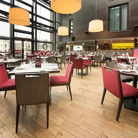 巴克兰迪斯堪迪克酒店